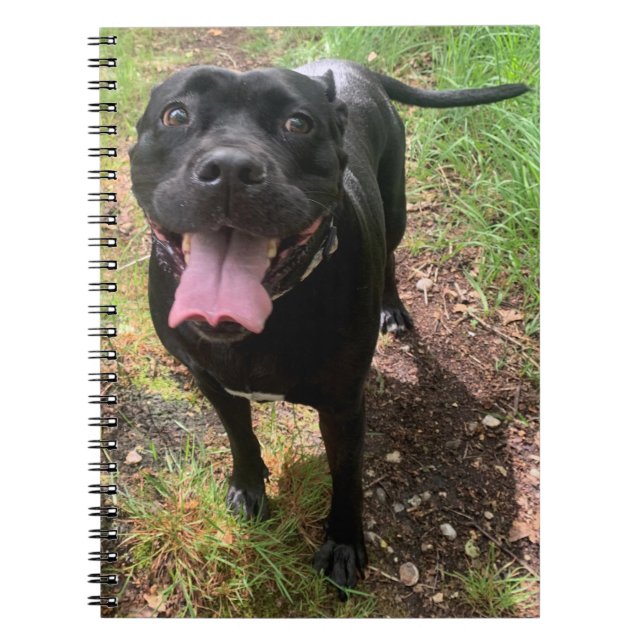 En Käpp Corso X bärbar dator Anteckningsbok (Framsidan)