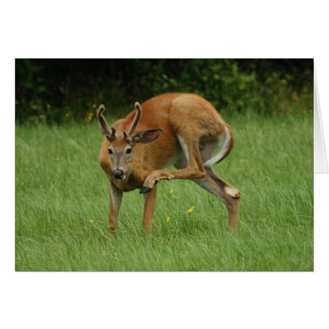 En Kära Itch Hälsningskort (Framsidan Horizontal)