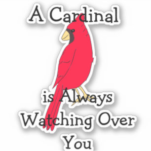 En Kardinal Håller Alltid Öga På Dig Klistermärken
