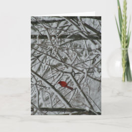 En kardinal i träd helgkort