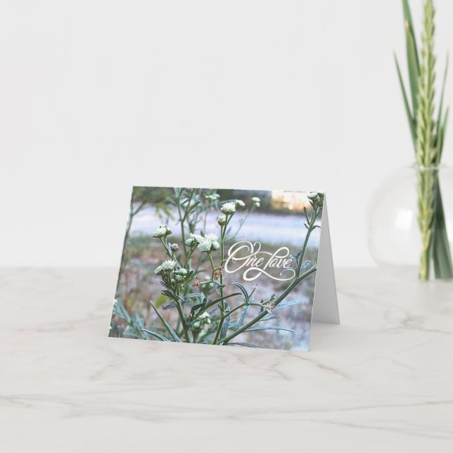 En kärlek, vit vildblomma, natur konst tom kort (Framsida)