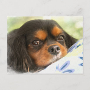 En kärleknågot liknande inte annan stolt Spaniel Vykort