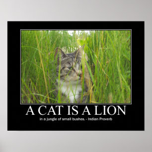 En katt är ett lejont indiskt Proverbkonstverk Poster
