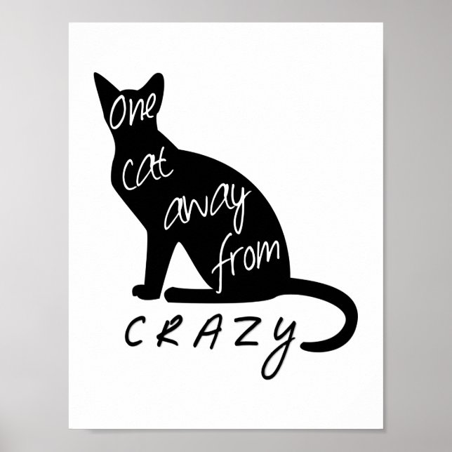 En katt bort från CRAZY Poster (Framsidan)