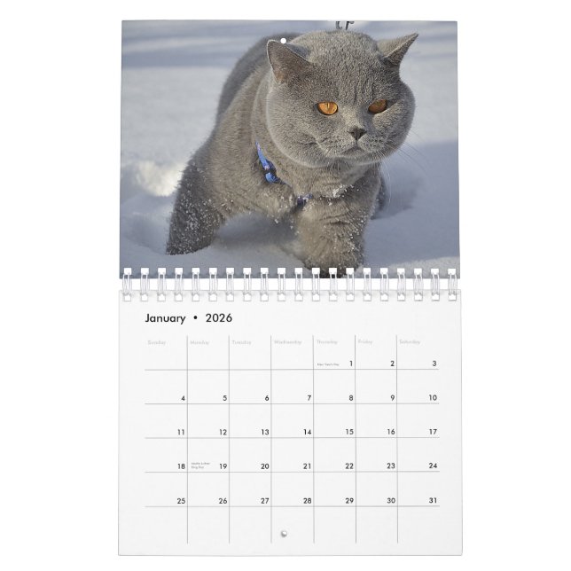 En katt för varje årskalender kalender (Jan 2026)
