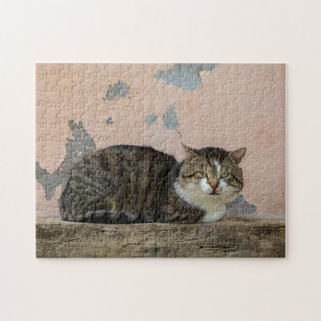 En katt framför gammal mur pussel (Horisontell)