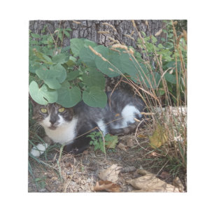 En katt gömmande anteckningsblock