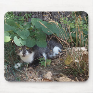 En katt gömmande musmatta