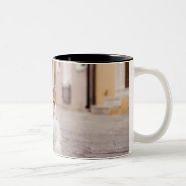 En katt i gatorna av Burano, italien.  2006. Två-Tonad Mugg (Höger)