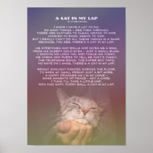 En katt i min lucka poster