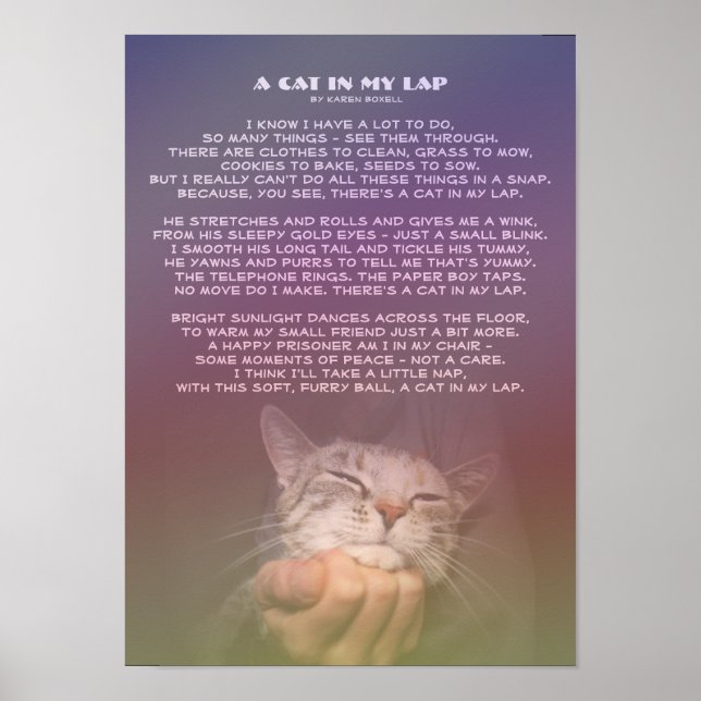 En katt i min lucka poster (Framsidan)