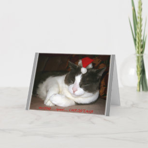 En katt julWish Helgkort