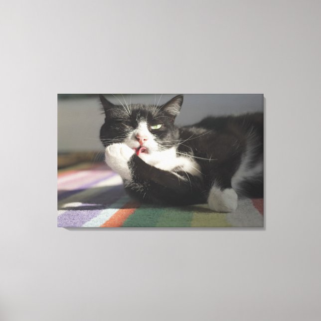 En katt Slickande det är Tass Canvastryck (Framsida)