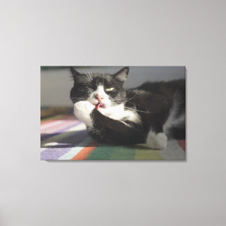 En katt Slickande det är Tass Canvastryck