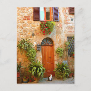 En katt söker ingång till hemmet i Pienza, Italien Vykort
