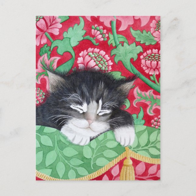 En katt! vykort (Framsida)