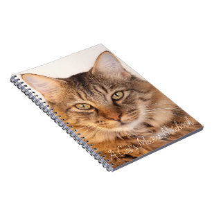 En kattdator anteckningsbok