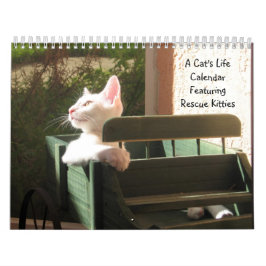 En kattkalender kalender