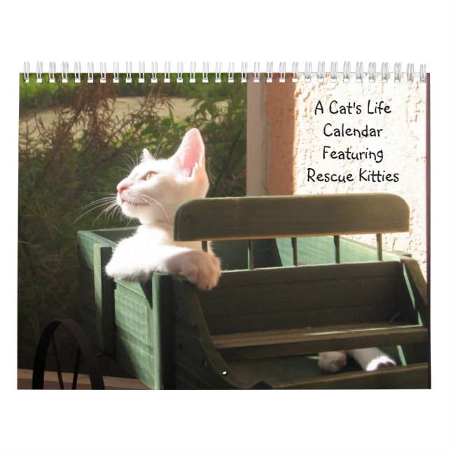 En kattkalendern - med Roligt citat Kalender (Omslag)