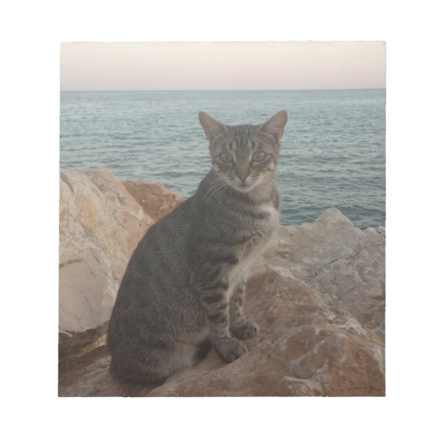 En kattmodell anteckningsblock (Framsida)