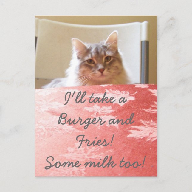 En kattunge Dream! Vykort (Framsida)