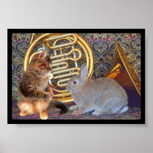 En kattunge, en kanin och en valthorn poster