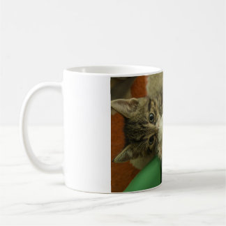 En kattunge på lek kaffemugg