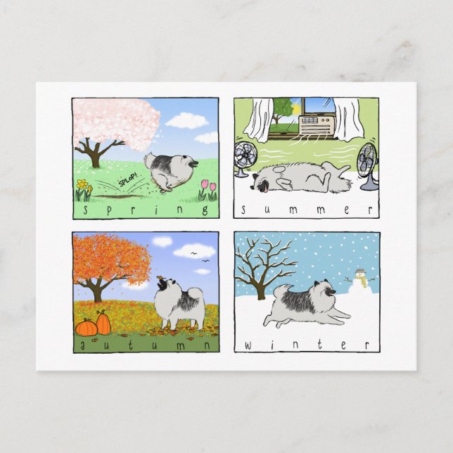 En Keeshond glädjer sig åt de fyra sektionerna - H Vykort (Framsida)