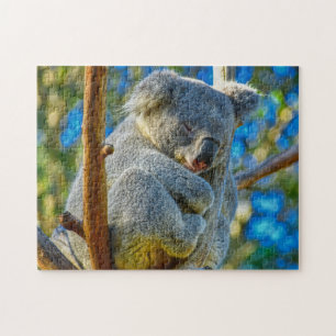 En Koala sover fredligt i träd Pussel