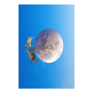 En kon och en elefant som snubblar över Måne Fototryck