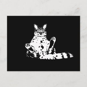 En konstig grumpy Cat med Cattige Vykort