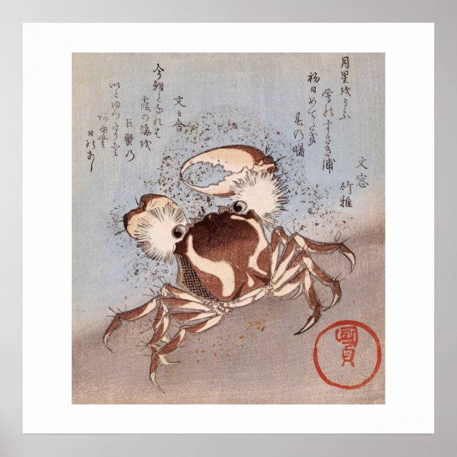 En krabba på Seashore Poster (Framsidan)