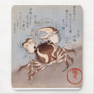 En krabba på seashoren musmatta