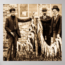 En kraftig Fullt av fisk A-Brans fångst för dagen Poster