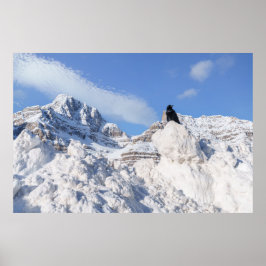 En Kråka i Crowfoot Mountain Alberta Kanada Poster