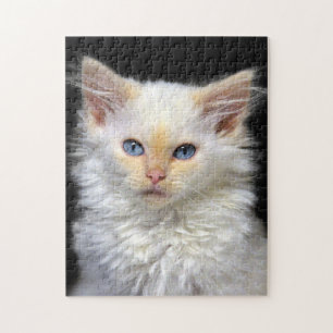 En kräm- Siamese kattunge med rött pekar Pussel