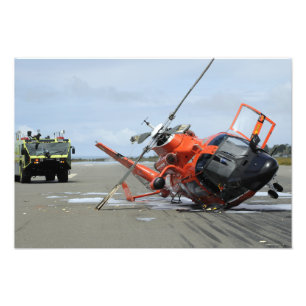 En krasch för helikopter för delfin för fototryck
