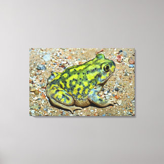 En kuchs spadefots toad canvastryck