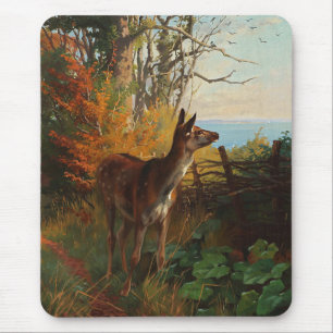 En kute Hjort i skogen Musmatta