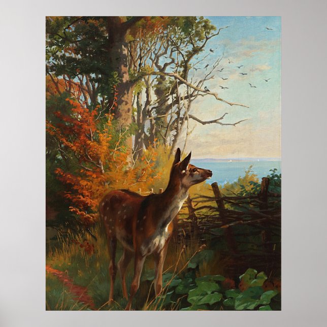 En kute Hjort i skogen Poster (Framsidan)