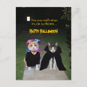 En kväll är det okej för PROWL Vykort