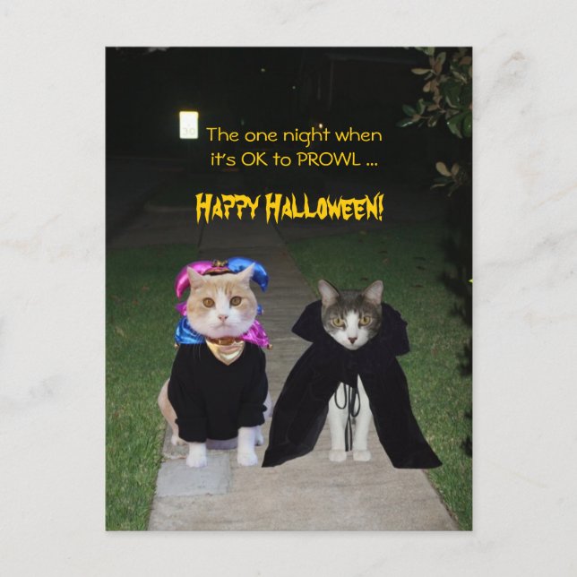 En kväll är det okej för PROWL Vykort (Framsida)