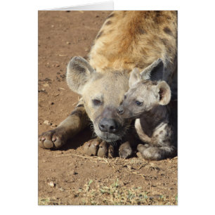 En kvinnlig utspelad Hyena och hennes unge, Kruger Hälsningskort