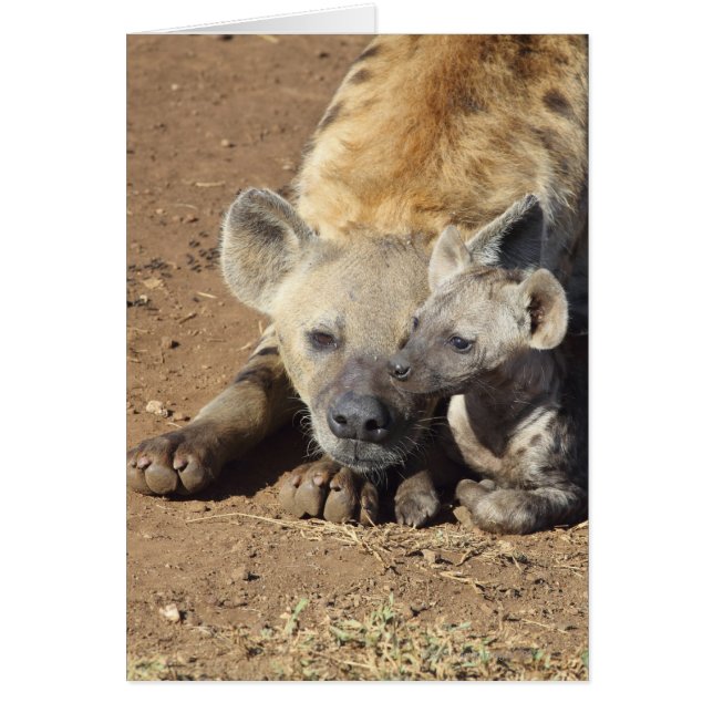 En kvinnlig utspelad Hyena och hennes unge, Kruger Hälsningskort (Framsidan)