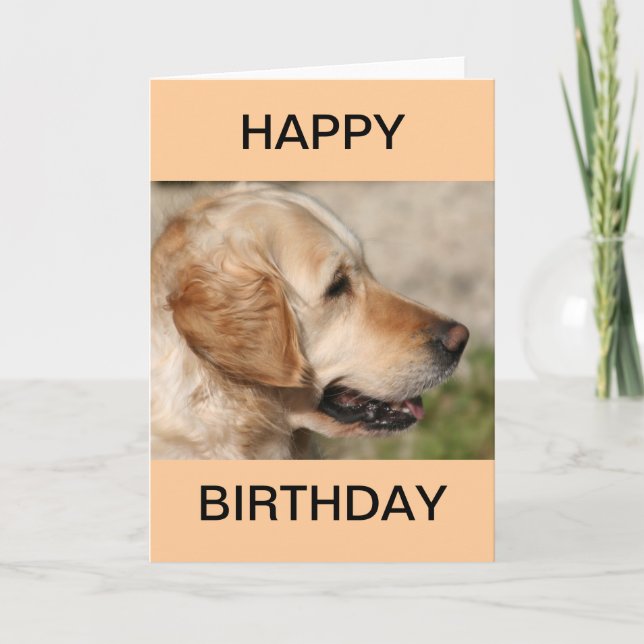 En labradors sjömil kort (Framsida)