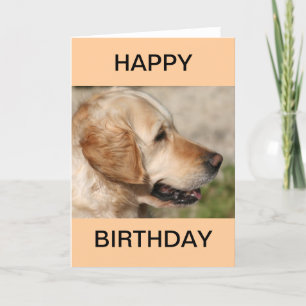 En labradors sjömil kort