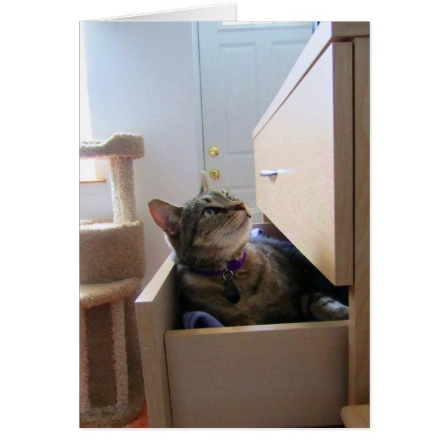 En låda för inmatningskort hälsningskort (Framsidan)