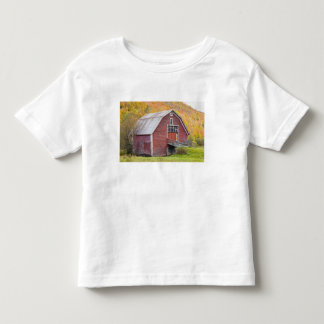 En lada i Vermonts Green Mountains. Hancock, 2 T-shirt