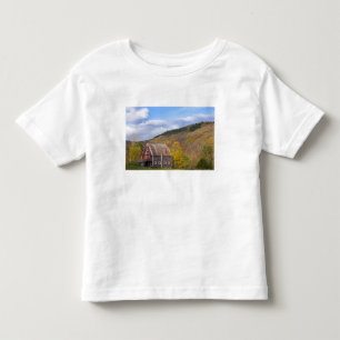 En lada i Vermonts Green Mountains. Hancock, 3 T-shirt