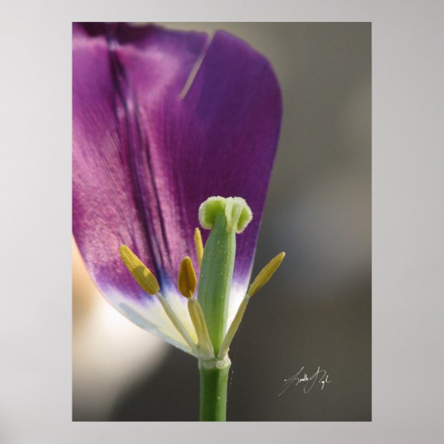 En Lämnat Poster (Framsidan)